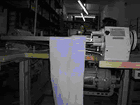 Collareta